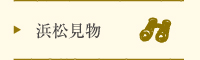 浜松見物